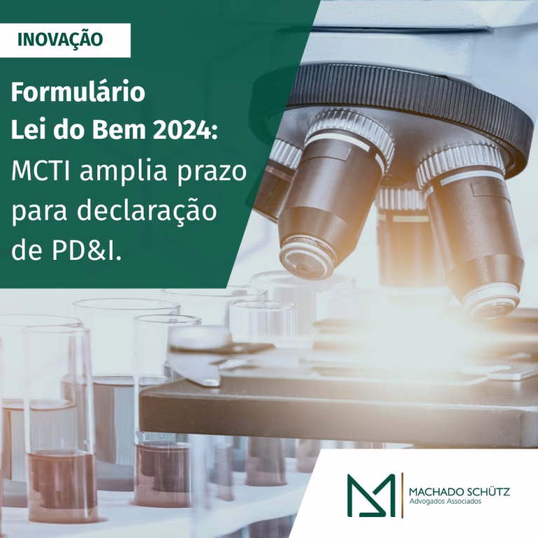 Formulário Lei do Bem 2024 - 3